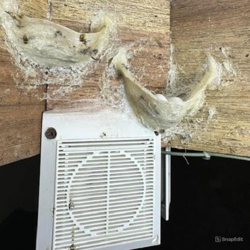 LOA RU CAO CẤP KOBBLE KB-SWK CÓ MÀNG GIÚP CHIM DỄ ĐU BÁM LÀM TỔ
